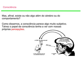 Consciência
Mas, afinal, existe ou não algo além do cérebro ou do
comportamento?
Como dissemos, a consciência parece algo muito subjetivo.
Talvez o papel da consciência tenha a ver com nossas
próprias percepções.
 