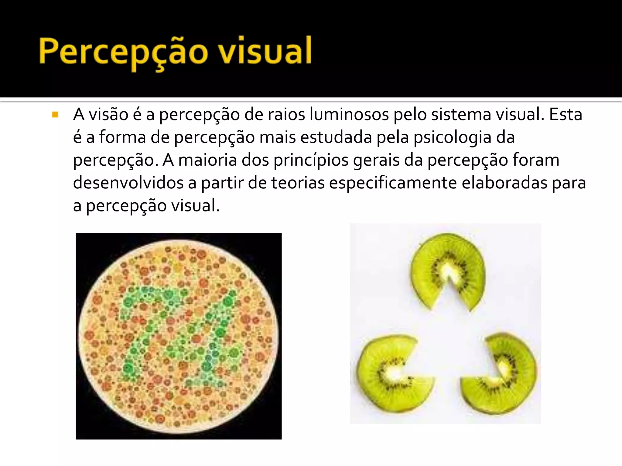    A visão é a percepção de raios luminosos pelo sistema visual. Esta
    é a forma de percepção mais estudada pela psicologia da
    percepção. A maioria dos princípios gerais da percepção foram
    desenvolvidos a partir de teorias especificamente elaboradas para
    a percepção visual.
 