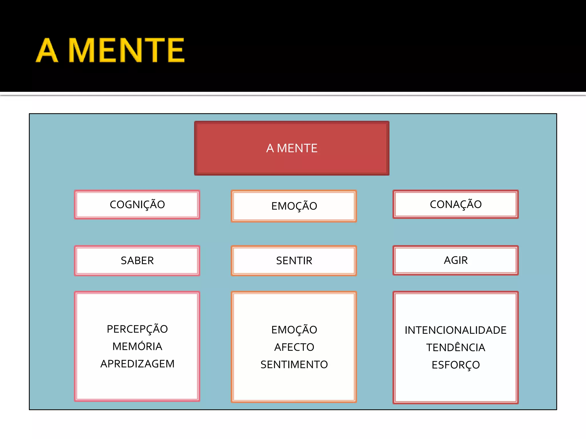 A MENTE



 COGNIÇÃO      EMOÇÃO         CONAÇÃO



   SABER        SENTIR           AGIR




PERCEPÇÃO      EMOÇÃO      INTENCIONALIDADE
 MEMÓRIA        AFECTO        TENDÊNCIA
APREDIZAGEM   SENTIMENTO       ESFORÇO
 