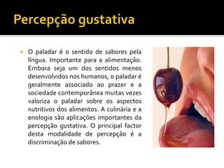    O paladar é o sentido de sabores pela
    língua. Importante para a alimentação.
    Embora seja um dos sentidos menos
    desenvolvidos nos humanos, o paladar é
    geralmente associado ao prazer e a
    sociedade contemporânea muitas vezes
    valoriza o paladar sobre os aspectos
    nutritivos dos alimentos. A culinária e a
    enologia são aplicações importantes da
    percepção gustativa. O principal factor
    desta modalidade de percepção é a
    discriminação de sabores.
 