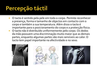  O tacto é sentido pela pele em todo o corpo. Permite reconhecer
  a presença, forma e tamanho de objectos em contacto com o
  corpo e também a sua temperatura. Além disso o tacto é
  importante para o posicionamento do corpo e a protecção física.
 O tacto não é distribuído uniformemente pelo corpo. Os dedos
  da mão possuem uma discriminação muito maior que as demais
  partes, enquanto algumas partes são mais sensíveis ao calor. O
  tacto tem papel importante na afectividade e no sexo.
 