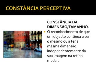 CONSTÂNCIA DA
    DIMENSÃO/TAMANHO.
   O reconhecimento de que
    um objecto continua a ser
    o mesmo ou a ter a
    mesma dimensão
    independentemente da
    sua imagem na retina
    mudar.
 