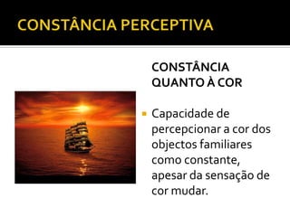 CONSTÂNCIA
    QUANTO À COR

   Capacidade de
    percepcionar a cor dos
    objectos familiares
    como constante,
    apesar da sensação de
    cor mudar.
 