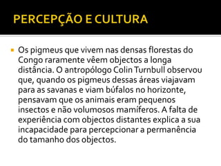    Os pigmeus que vivem nas densas florestas do
    Congo raramente vêem objectos a longa
    distância. O antropólogo Colin Turnbull observou
    que, quando os pigmeus dessas áreas viajavam
    para as savanas e viam búfalos no horizonte,
    pensavam que os animais eram pequenos
    insectos e não volumosos mamíferos. A falta de
    experiência com objectos distantes explica a sua
    incapacidade para percepcionar a permanência
    do tamanho dos objectos.
 