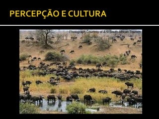 Percepção