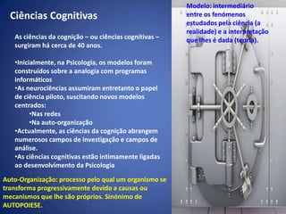 Analisar o papel destes processos na vida quotidiana