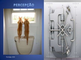 Analisar a mente como um sistema de construção do mundo