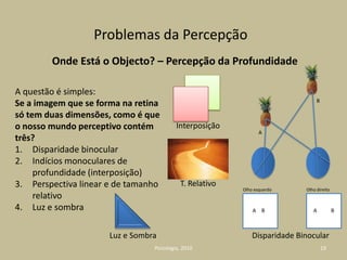 Unidade e diversidade dos seres humanos