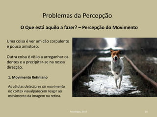 Inscrição mental das histórias de vida: IdentidadeUm psicólogo do desenvolvimento mostra a uma criança de 5 anos uma caixa de bolachas e pergunta-lhe o que pensa ela ali encontrar.A resposta espontânea da criança é “bolachas”. Depois, a criança olha para dentro da caixa, e vê que estão lá lápis e não bolachas.O experimentador pergunta, então, à criança: “O que é que outro menino vai pensar que está dentro da caixa, se não olhar lá para dentro?”A criança, divertida com esta pergunta, responde: “bolachas”.AS FALSAS CRENÇAS