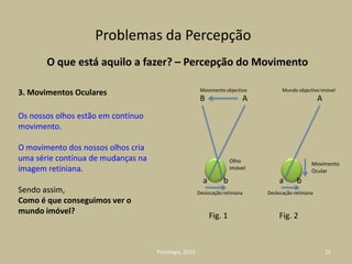 AS FALSAS CRENÇASConsoanteO grau de informação que temos sobre cada assunto