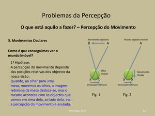 O nível de competências 