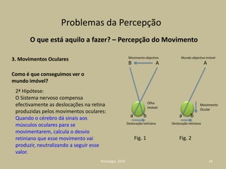 A experiência de vida, etc.Assim,Todos nós reagimos a certas situações como as crianças de 5 anos.