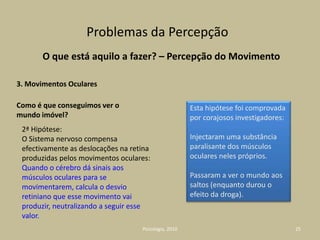 Todos nós reagimos a outras situações como as crianças de 3 anos.Tentar compreender como funciona a nossa mente pode também levar-nos a comportamentos idênticos aos das crianças de 5 anos ou aos das crianças 3 anos.A questão para elas dizia respeito à utilidade e ao conteúdo (associados uma ao outro).A questão para nós diz respeito ao conteúdo e funcionamento da mente (associados um ao outro)