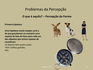 Compreender as Capacidades Mentais do Ser Humano