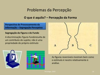 As ciências cognitivas estão intimamente ligadas ao desenvolvimento da PsicologiaAuto-Organização: processo pelo qual um organismo se transforma progressivamente devido a causas ou mecanismos que lhe são próprios. Sinónimo de AUTOPOIESE.