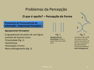 PERCEPÇÃOPsicologia, 201011