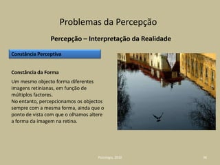 Psicologia, 201013Observe a fotografia.Do ponto de vista da imagem (duas dimensões), a ilusão de a ver a três dimensões tem origem nos dados descendentes.