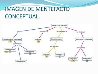 IMAGEN DE MENTEFACTO CONCEPTUAL.