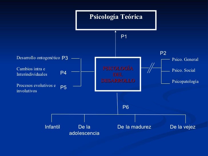 Mentefacto Conceptual