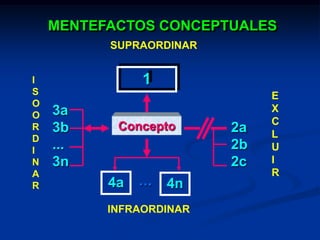OPERACIONES CONCEPTUALESEncontrar el género próximo o clase  mayor que contenga al concepto              SUPRAORDINAR.Separar, oponer, diferenciar una clase del concepto-clase abordado.                 EXCLUIREncontrar las características esenciales del concepto analizado                   ISOORDINARIdentificar clases menores o subclases contenidas en el concepto                 INFRAORDINAR.