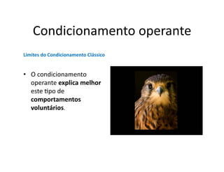 Condicionamento	
  operante	
  
Limites	
  do	
  Condicionamento	
  Clássico	
  


•  O	
  condicionamento	
  
   operante	
  explica	
  melhor	
  
   este	
  Gpo	
  de	
  
   comportamentos	
  
   voluntários.	
  
 