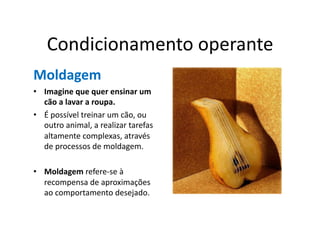 Condicionamento	
  operante	
  
Moldagem	
  
•  Imagine	
  que	
  quer	
  ensinar	
  um	
  
   cão	
  a	
  lavar	
  a	
  roupa.	
  	
  
•  É	
  possível	
  treinar	
  um	
  cão,	
  ou	
  
   outro	
  animal,	
  a	
  realizar	
  tarefas	
  
   altamente	
  complexas,	
  através	
  
   de	
  processos	
  de	
  moldagem.	
  

•  Moldagem	
  refere-­‐se	
  à	
  
   recompensa	
  de	
  aproximações	
  
   ao	
  comportamento	
  desejado.	
  
 