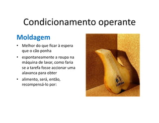 Condicionamento	
  operante	
  
Moldagem	
  
•  Melhor	
  do	
  que	
  ﬁcar	
  à	
  espera	
  
   que	
  o	
  cão	
  ponha	
  
•  espontaneamente	
  a	
  roupa	
  na	
  
   máquina	
  de	
  lavar,	
  como	
  faria	
  
   se	
  a	
  tarefa	
  fosse	
  accionar	
  uma	
  
   alavanca	
  para	
  obter	
  
•  alimento,	
  será,	
  então,	
  
   recompensá-­‐lo	
  por:	
  
 