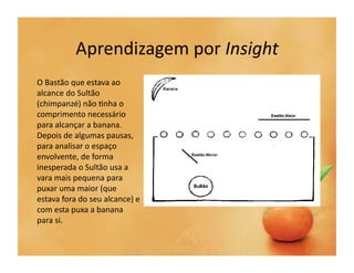 Aprendizagem	
  por	
  Insight	
  
                            !                                                                                               "#



O	
  Bastão	
  que	
  estava	
  ao	
  
alcance	
  do	
  Sultão	
  
(chimpanzé)	
  não	
  `nha	
  o	
  
comprimento	
  necessário	
  
para	
  alcançar	
  a	
  banana.	
  
Depois	
  de	
  algumas	
  pausas,	
  
para	
  analisar	
  o	
  espaço	
  
envolvente,	
  de	
  forma	
  
inesperada	
  o	
  Sultão	
  usa	
  a	
  
vara	
  mais	
  pequena	
  para	
  
puxar	
  uma	
  maior	
  (que	
  
estava	
  fora	
  do	
  seu	
  alcance)	
  e	
  
                                                                                                                  !
com	
  esta	
  puxa	
  a	
  banana	
  
                                   $%&'()!"*!+,-!./!0/(()1/23)!4-156/1/23)(7!+,-!./!'1!8),39-!1/2-(:!5)()!,/!4;/&)(!)-!
para	
  si.	
                      <2%4-!8),39-!<3%6!5)()!)64)2=)(!-!-8>/3%?-!0%2)67!@!A;%15)2BC!D2/,3/!4),-:!E'639-F!3/1!G'/!
                                '3%6%B)(!)!?)()!4'(3)!5)()!-83/(!)!?)()!6-2&)!G'/!5-./(H!/239-!,/(!'3%6%B).)!5)()!4-2,/&'%(!)!
                                8)2)2)7!
                                I-3)*!$%&'()!).)53).)!./!@,&--.!D"JKLM"J#N:!57!ONKF7!
                                     !

                                    DNPMQLM"RF!E'639-!3/23-'!)64)2=)(!)!0('3)!5(%1/%()1/23/!4-1!'1!8),39-!4'(3-!/!./5-%,
 
