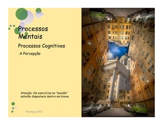 Processos
Mentais
Processos Cognitivos
A Percepção




 Atenção: Os exercícios no “moodle”
 estarão disponíveis dentro em breve




    Psicologia, 2011
                                       41
 