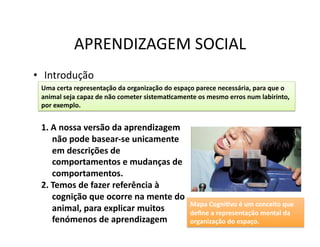 APRENDIZAGEM	
  SOCIAL	
  
•  Introdução	
  
  Uma	
  certa	
  representação	
  da	
  organização	
  do	
  espaço	
  parece	
  necessária,	
  para	
  que	
  o	
  
  animal	
  seja	
  capaz	
  de	
  não	
  cometer	
  sistemaScamente	
  os	
  mesmo	
  erros	
  num	
  labirinto,	
  
  por	
  exemplo.	
  


  1.  A	
  nossa	
  versão	
  da	
  aprendizagem	
  
      não	
  pode	
  basear-­‐se	
  unicamente	
  
      em	
  descrições	
  de	
  
      comportamentos	
  e	
  mudanças	
  de	
  
      comportamentos.	
  
  2.  Temos	
  de	
  fazer	
  referência	
  à	
  
      cognição	
  que	
  ocorre	
  na	
  mente	
  do	
  
                                                                      Mapa	
  CogniSvo	
  é	
  um	
  conceito	
  que	
  
      animal,	
  para	
  explicar	
  muitos	
                         deﬁne	
  a	
  representação	
  mental	
  da	
  
      fenómenos	
  de	
  aprendizagem	
                               organização	
  do	
  espaço.	
  
 