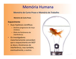Memória	
  Humana	
  
         Memória	
  de	
  Curto	
  Prazo	
  e	
  Memória	
  de	
  Trabalho	
  

         Memória	
  de	
  Curto	
  Prazo	
  

Esquecimento	
  
•  Duas	
  hipóteses	
  cienﬁcas:	
  
     –  Declínio	
  progressivo	
  do	
  traço	
  
        mnésico.	
  
     –  Efeito	
  de	
  fenómenos	
  de	
  
        interferência.	
  
•  Os	
  inves7gadores	
  
   maioritariamente	
  concordam	
  
   que	
  o	
  esquecimento	
  em	
  MCP	
  
   se	
  deve	
  a	
  fenómenos	
  de	
  
   interferência,	
  mas	
  também,	
  
   eventualmente,	
  a	
  outros.	
  
 
