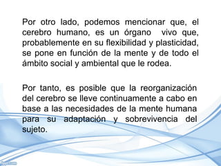 Por otro lado, podemos mencionar que, el
cerebro humano, es un órgano vivo que,
probablemente en su flexibilidad y plasticidad,
se pone en función de la mente y de todo el
ámbito social y ambiental que le rodea.

Por tanto, es posible que la reorganización
del cerebro se lleve continuamente a cabo en
base a las necesidades de la mente humana
para su adaptación y sobrevivencia del
sujeto.
 