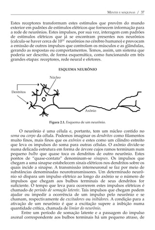 MENTES E MÁQUINAS / 37


Estes receptores transformam estes estímulos que provêm do mundo
exterior em padrões de estímulos elétricos que fornecem informação para
a rede de neurônios. Estes impulsos, por sua vez, interagem com padrões
de estímulos elétricos que já se encontram presentes nos neurônios
(calcula-se haver cerca de 1010 neurônios no cérebro humano) e provocam
a emissão de outros impulsos que controlam os músculos e as glândulas,
gerando as respostas ou comportamentos. Temos, assim, um sistema que
poderia ser descrito, de forma esquemática, como funcionando em três
grandes etapas: receptores, rede neural e efetores.

                         ESQUEMA NEURÔNIO

                     Núcleo



Dentritos




                                          Axônio


                    Figura 2.1. Esquema de um neurônio.

     O neurônio é uma célula e, portanto, tem um núcleo contido no
soma ou corpo da célula. Podemos imaginar os dendritos como filamentos
muito finos, mais finos que os axônios e estes como um cilindro estreito
que leva os impulsos do soma para outras células. O axônio divide-se
numa delicada estrutura em forma de árvore cujos ramos terminam num
pequeno bulbo que quase toca os dendritos de outro neurônio. Estes
pontos de “quase-contato” denominam-se sinapses. Os impulsos que
chegam a uma sinapse estabelecem sinais elétricos nos dendritos sobre os
quais incide a sinapse. A transmissão interneuronal se faz por meio de
substâncias denominadas neurotransmissores. Um determinado neurô-
nio só dispara um impulso elétrico ao longo do axônio se o número de
impulsos que chegam aos bulbos terminais de seus dendritos for
suficiente. O tempo que leva para ocorrerem estes impulsos elétricos é
chamado de período de somação latente. Tais impulsos que chegam podem
ajudar ou impedir a ocorrência de um impulso pelo neurônio e se
chamam, respectivamente de excitadores ou inibidores. A condição para a
ativação de um neurônio é que a excitação supere a inibição numa
quantidade crítica, chamada de limiar do neurônio.
      Entre um período de somação latente e a passagem do impulso
axonal correspondente aos bulbos terminais há um pequeno atraso, de
 