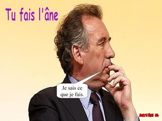 Je sais ce
que je fais.
 