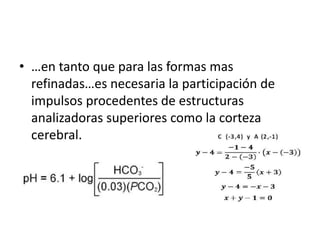 ConclusionLos estudios de Magoun permitieron concluir que el sistema reticular no solo es un activador de la corteza sino el sustrato (unidad anatómica-funcional) de la vigilia y de la experiencia consiente.