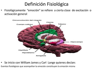 Situaciones de peligro o amenaza Tres tipos básicos de reacciones emocionalesAtaque al enemigoHuida ante el peligroInhibición de la motilidad