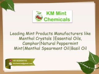 Leading Mint Products Manufacturers like
Menthol Crystals |Essential Oils,
Camphor|Natural Peppermint
Mint|Menthol Spearment Oil|Basil Oil
 