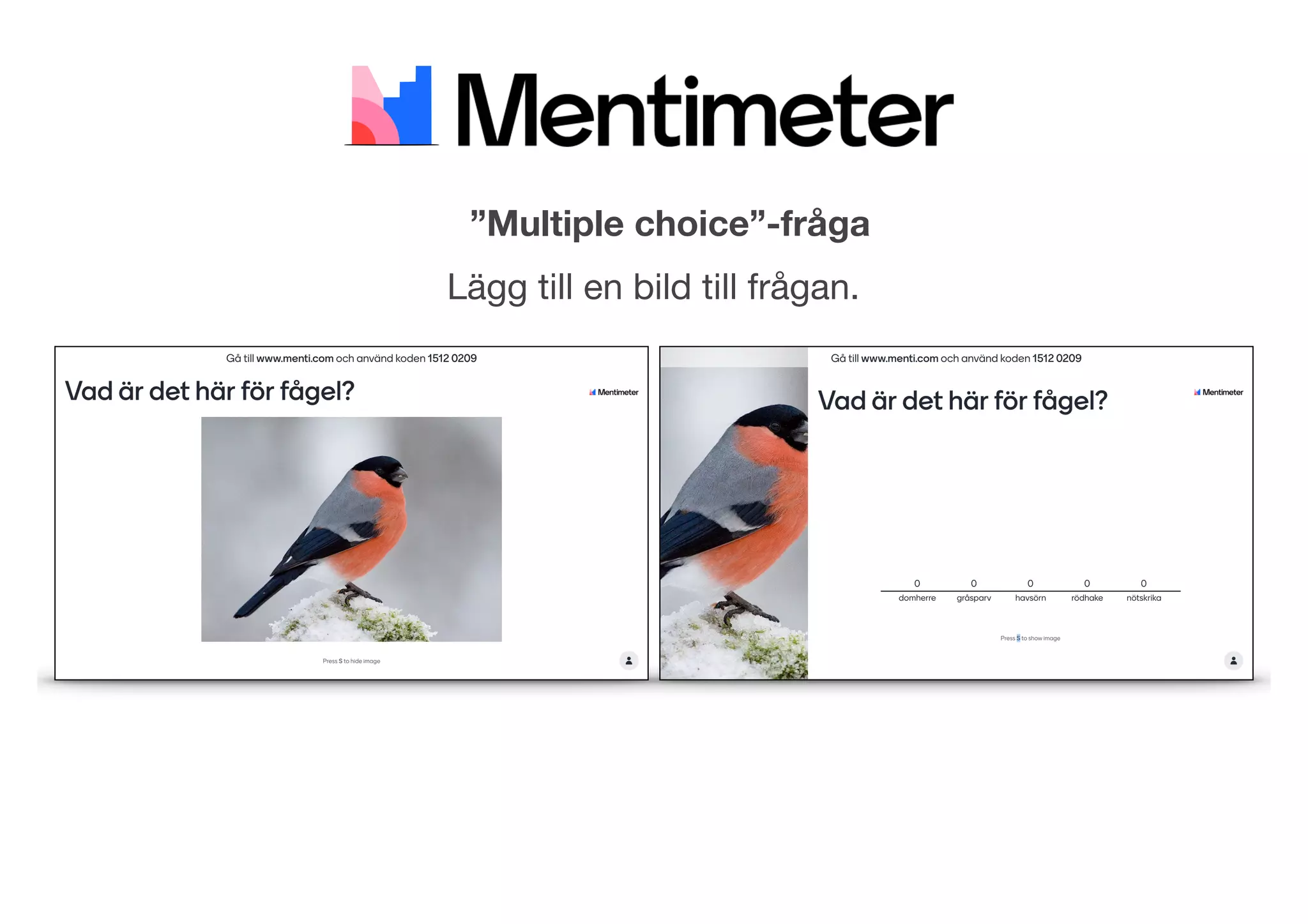 Lägg till en bild till frågan.
”Multiple choice”-fråga
 