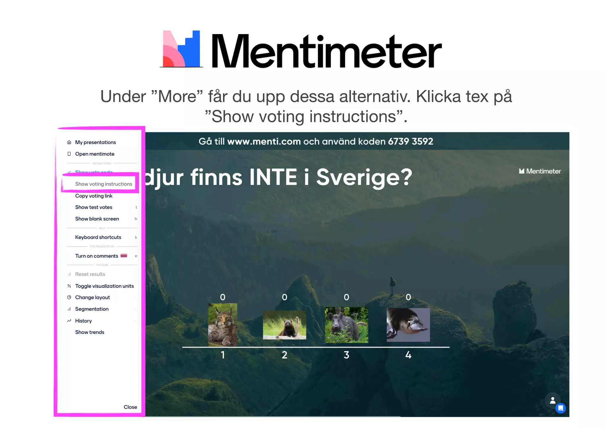 Under ”More” får du upp dessa alternativ. Klicka tex på
”Show voting instructions”.
 