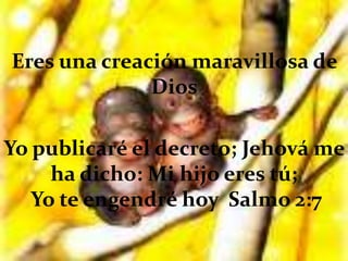 Eres una creación maravillosa de DiosYo publicaré el decreto; Jehová me ha dicho: Mi hijo eres tú;  Yo te engendré hoy  Salmo 2:7