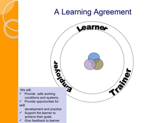 A Learning Agreement We will: Provide  safe working  conditions and systems.  Provide opportunites for skill development and practice Support the learner to  achieve their goals Give feedback to learner  and trainer. Learner Employer Trainer 