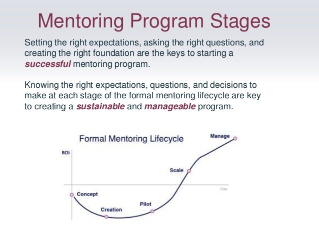 What are the four main stages of mentoring