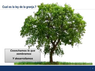 12
Cual es la ley de la granja.?
Cosechamos lo que
sembramos
Y desarrollamos
 