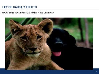 4
LEY DE CAUSA Y EFECTO
TODO EFECTO TIENE SU CAUSA Y VISCEVERSA
 