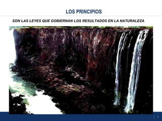 5
LOS PRINCIPIOS
SON LAS LEYES QUE GOBIERNAN LOS RESULTADOS EN LA NATURALEZA
 