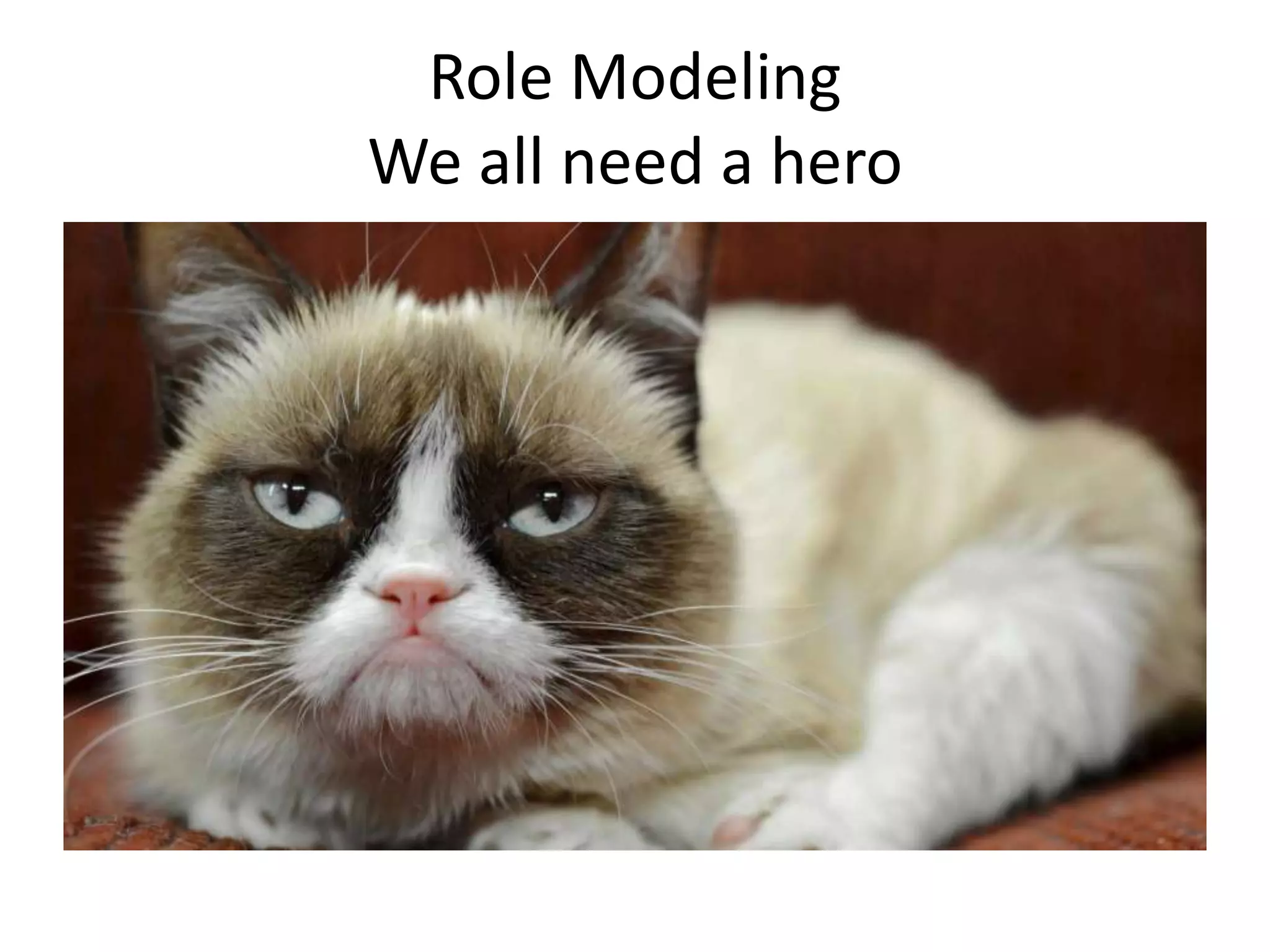 Role Modeling
We all need a hero

 