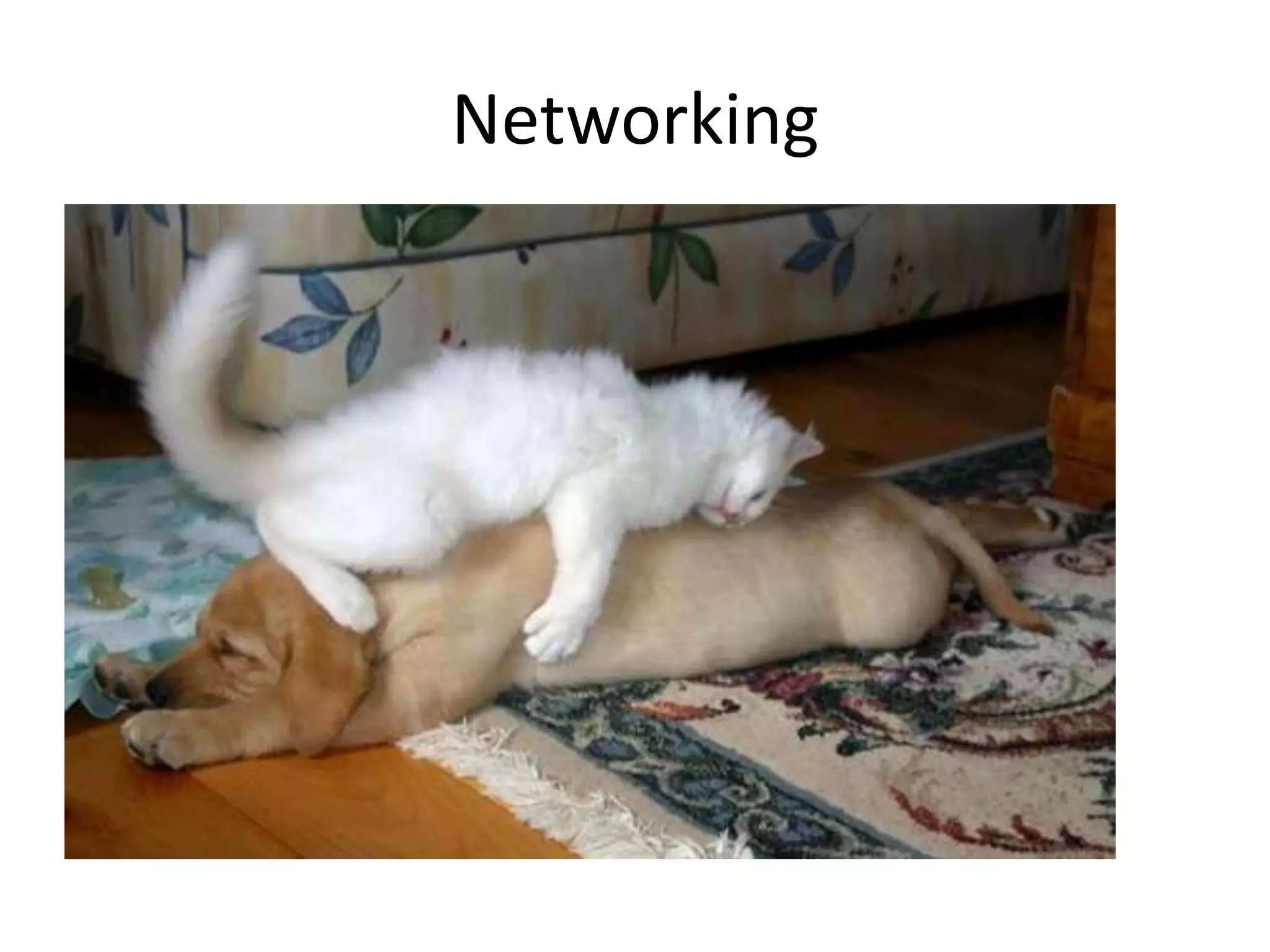 Networking

 