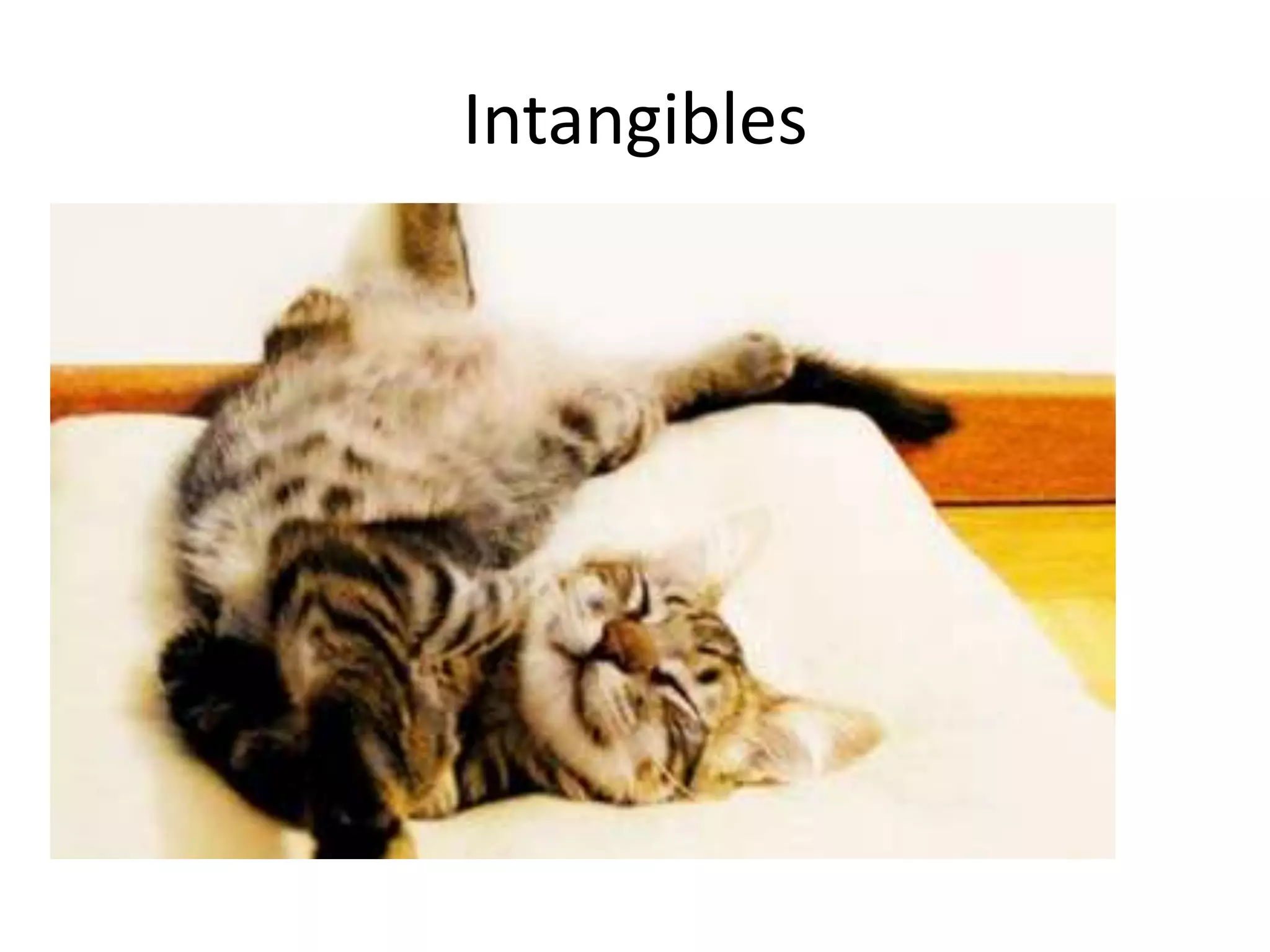 Intangibles

 