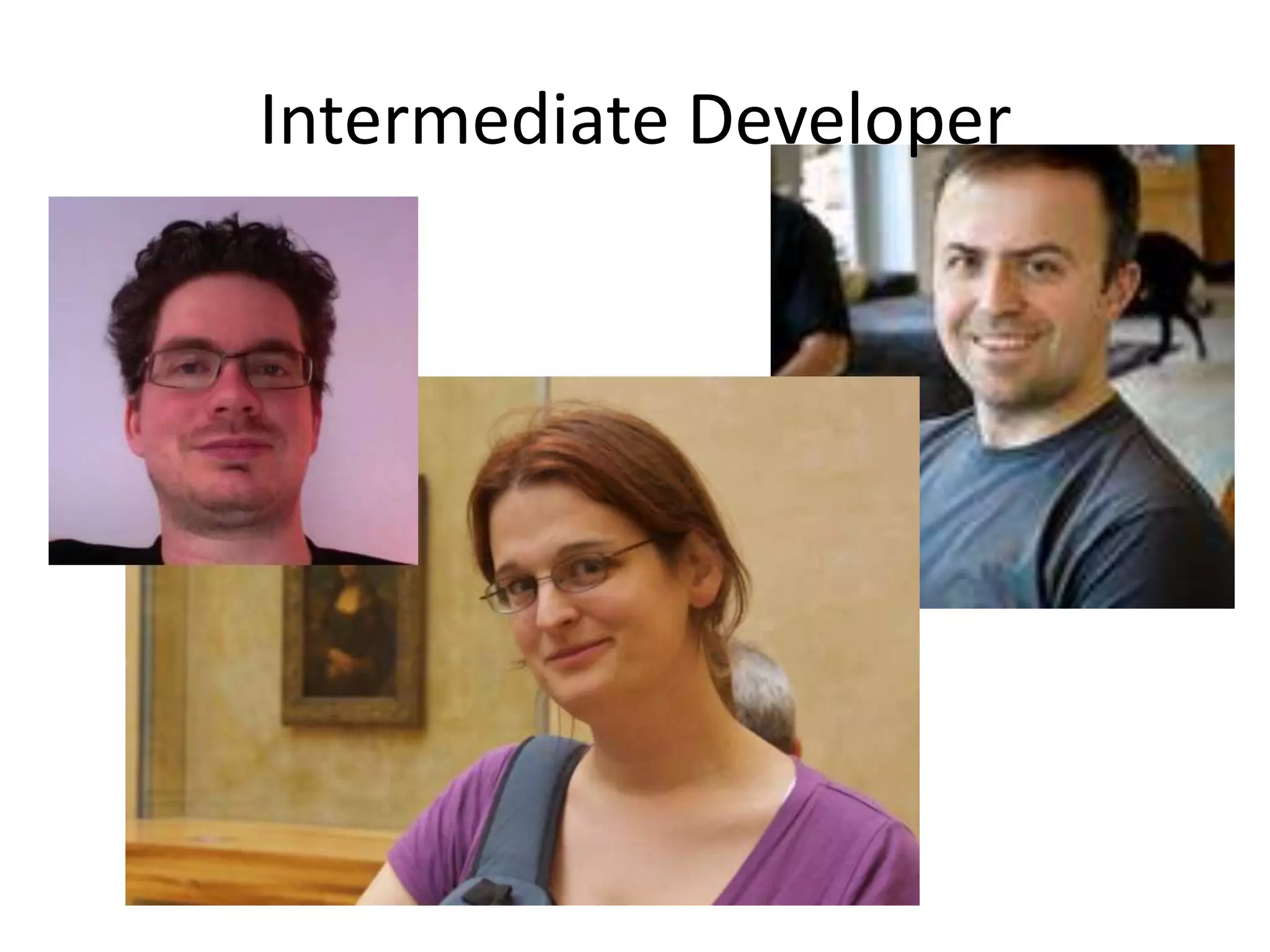 Intermediate Developer

 