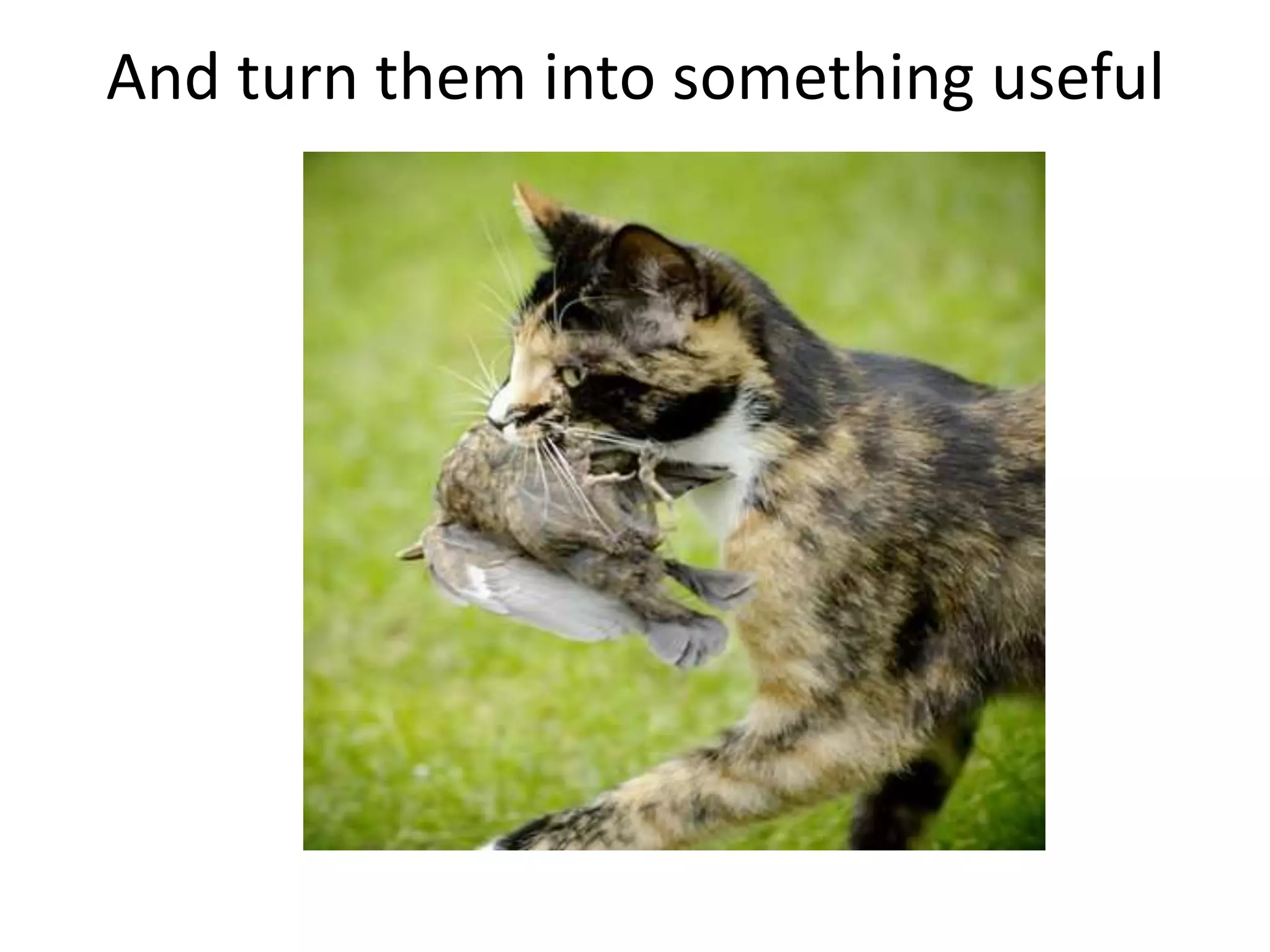 And turn them into something useful

 